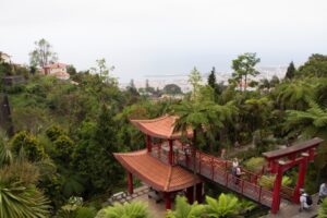 Monte Tropical Garden